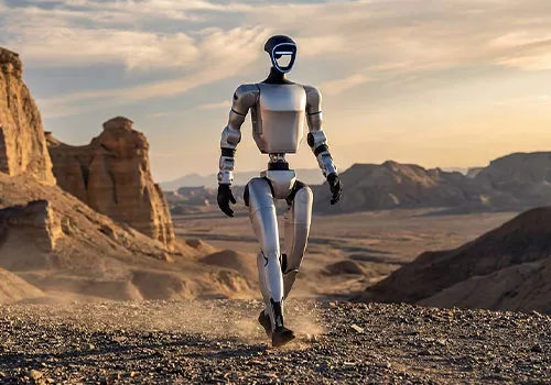 Custom Battery Packs for Humanoid Robots